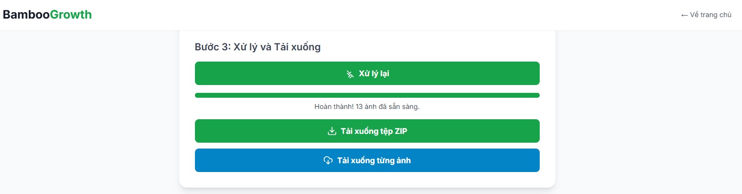 Hướng dẫn nén ảnh - Bước 4: Các tùy chọn tải xuống ảnh đã xử lý